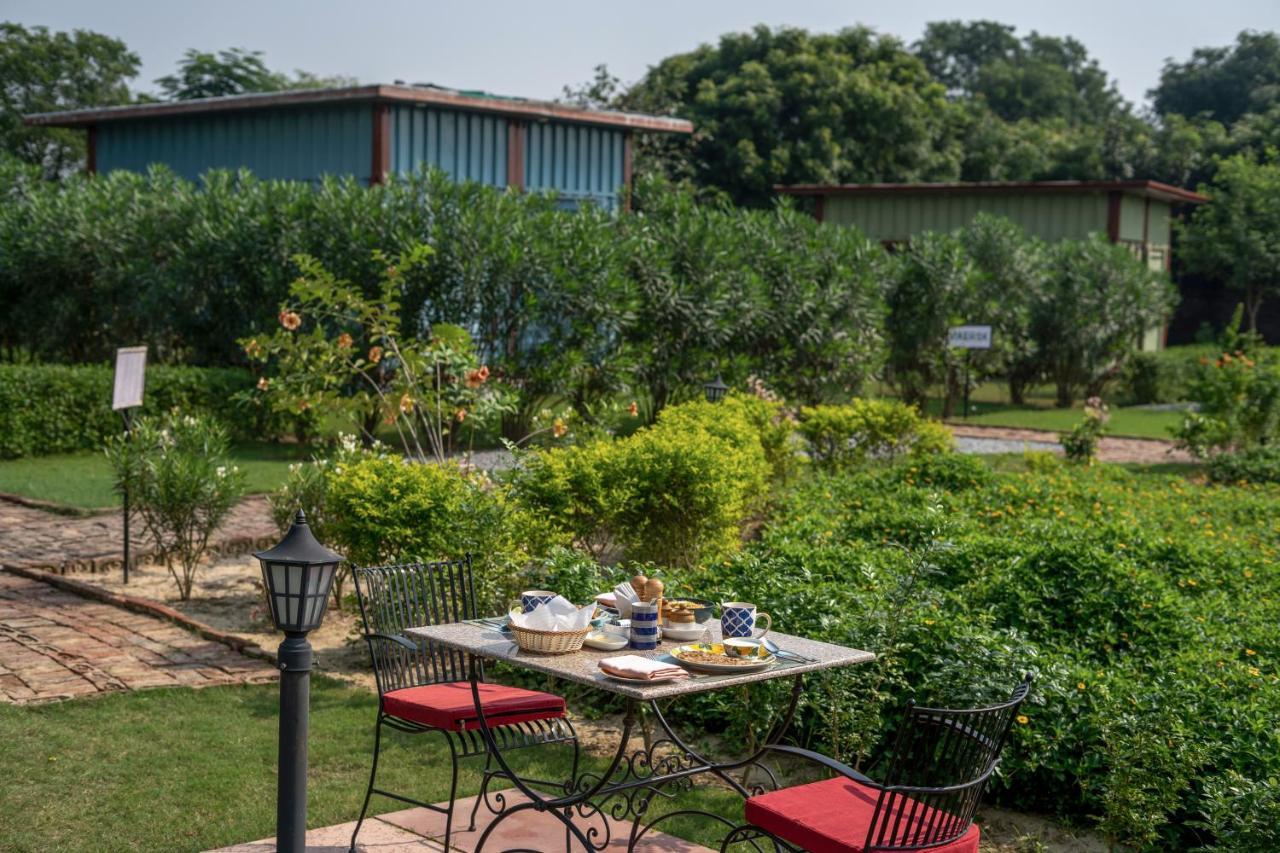 Tree Of Life Ecotainers Agra Hotel Agra  Exterior photo